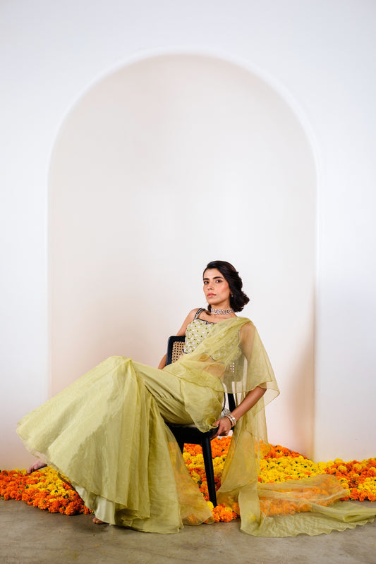 Amaya drape ruffle saree